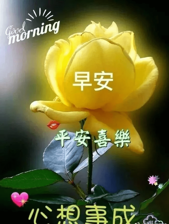 fcc2fa15779d4b39ab700b8d87278fe5.png