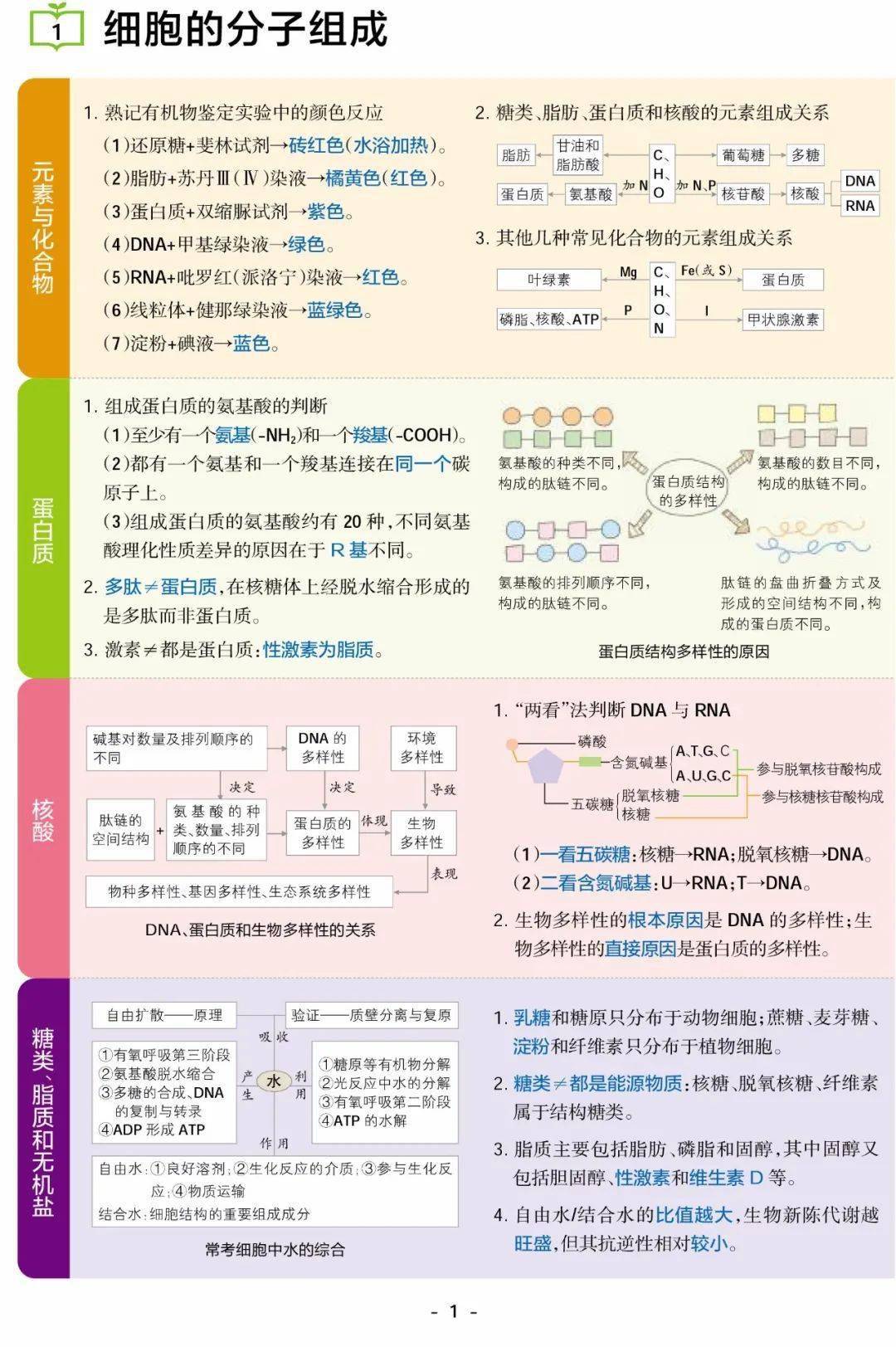 16彩图 助你掌握高中生物重点知识点 大全