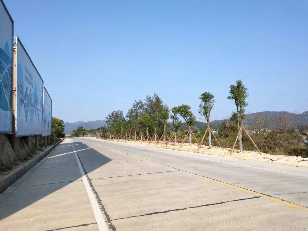 为加快推进塔七公路绿化美化工程,助力南岭创建森林城镇,3月23日晚,市