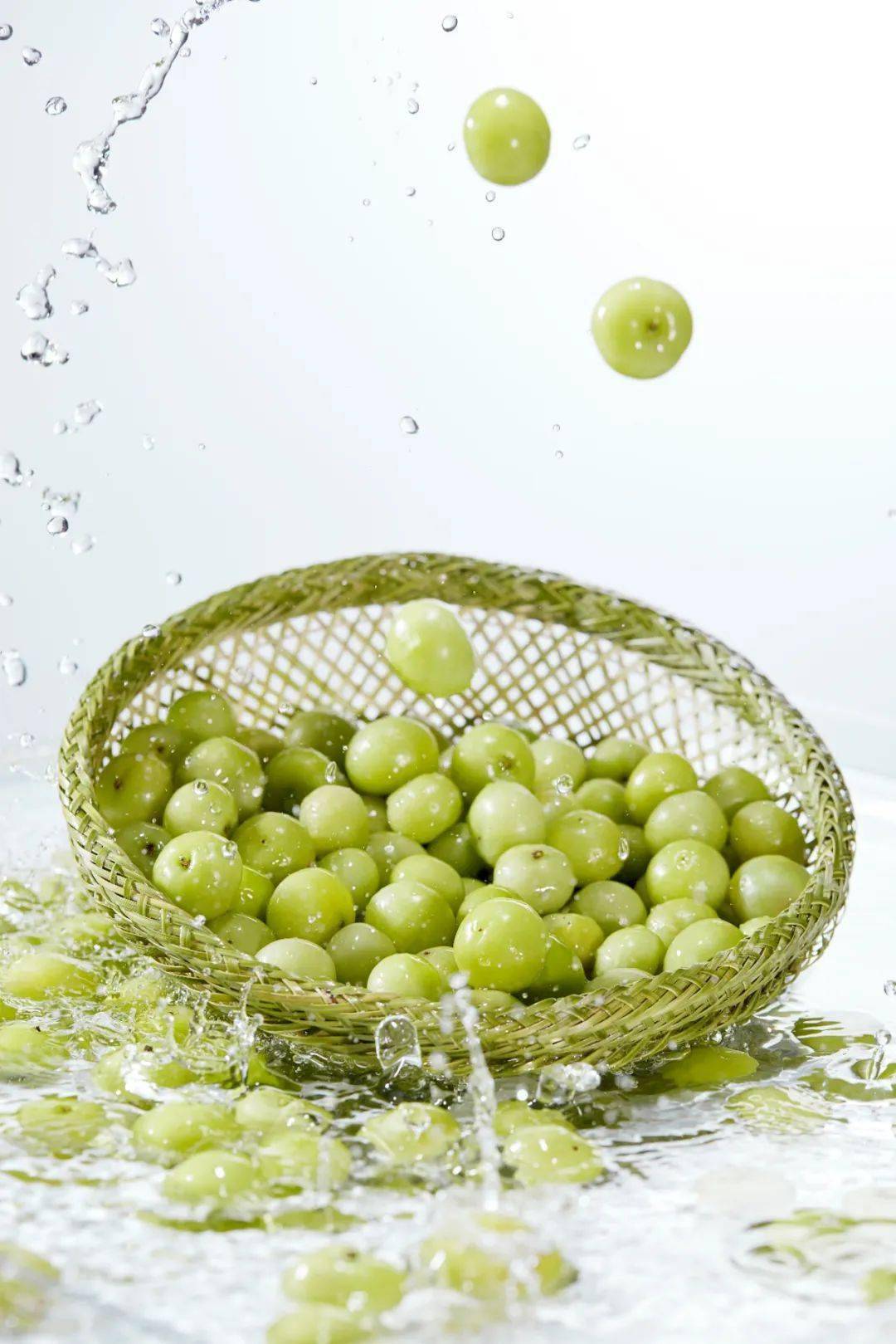 人间油物霸气玉油柑来呼市了66颗甜种油柑榨一瓶