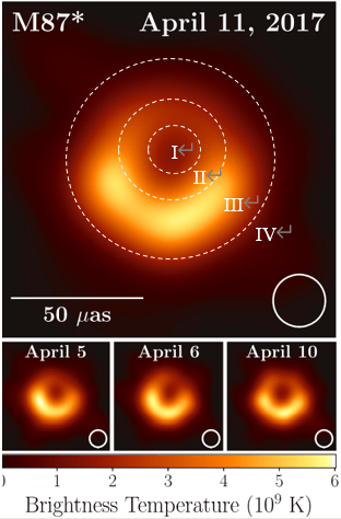 从黑洞的极化照片可以看出什么