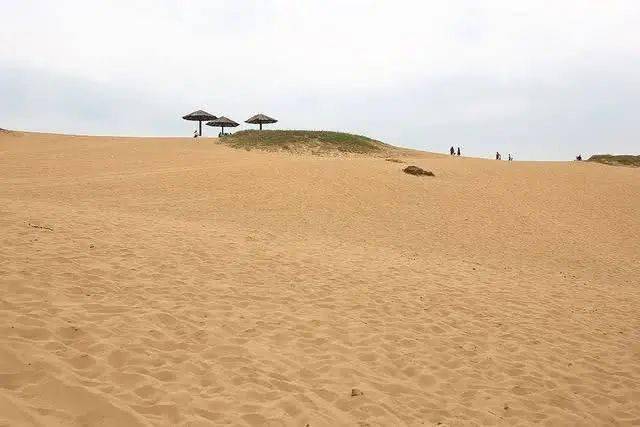 沙漠主体位于赣江西岸紧邻鄱阳湖的大沙丘呈橄榄形有些沙山侵入湖中