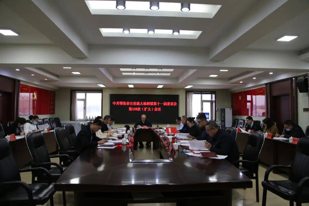 大杨树镇召开党委扩大会议