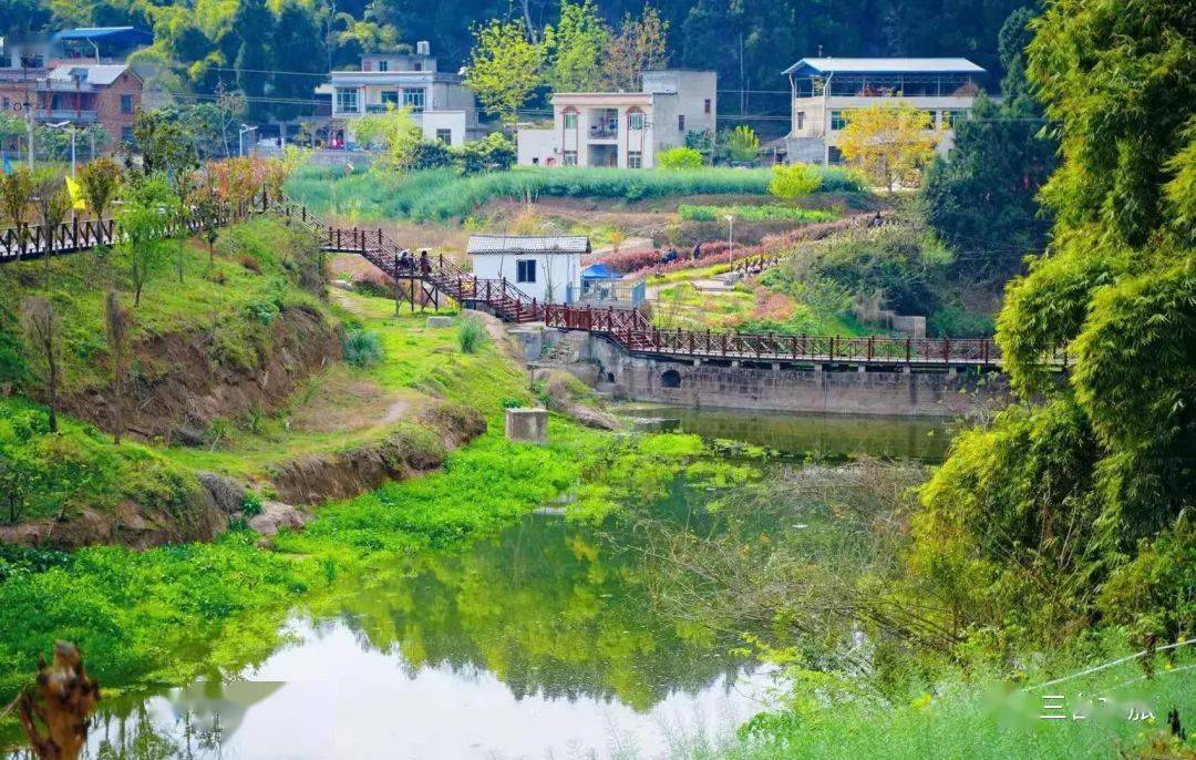 春日"大片"随手拍 ,三台景福镇万亩牡丹花田等你来