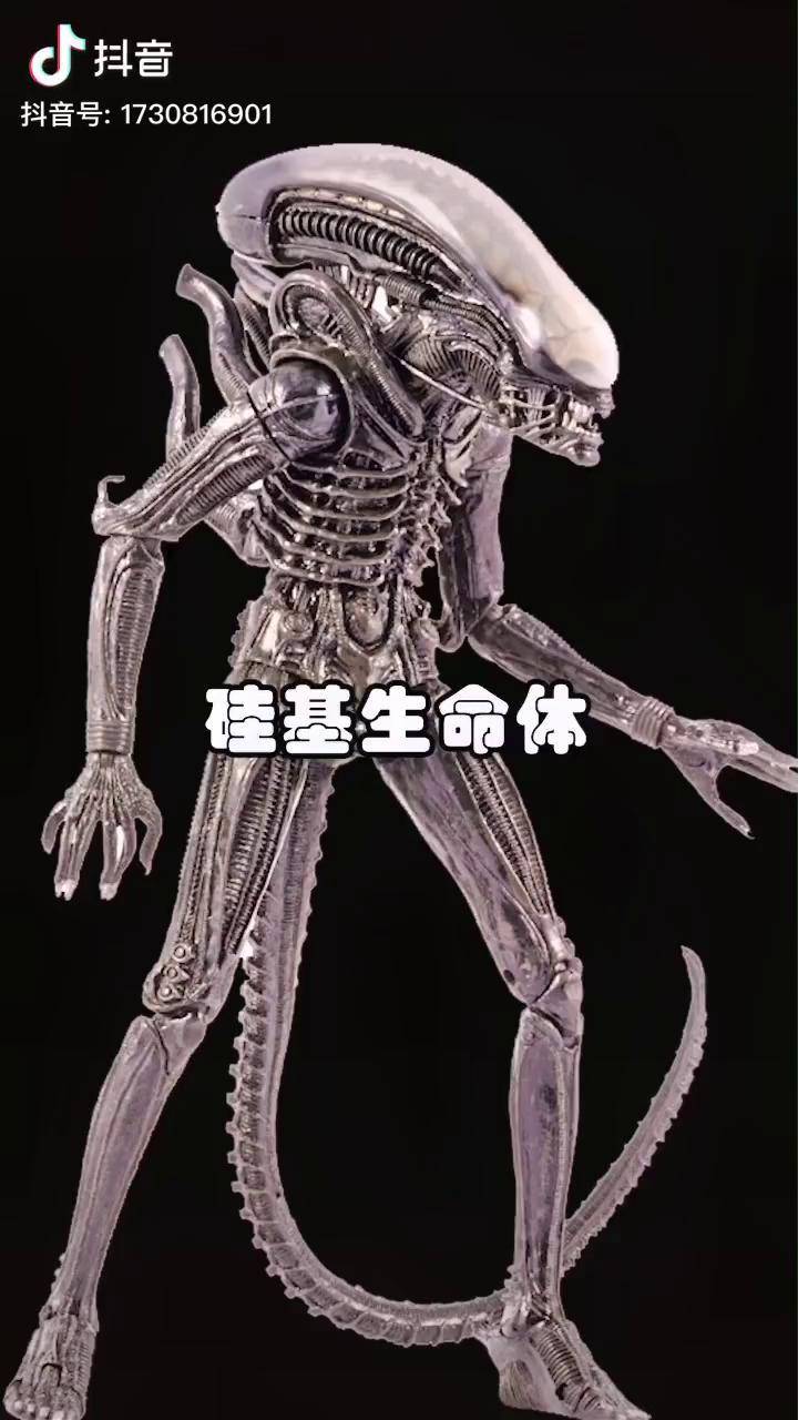 如果生命不是碳基而是硅基会怎么样dou上热门外星人