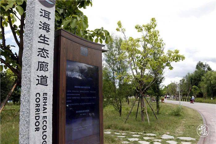 起步开局 大理这样干|洱海生态廊道:智慧化守护水清岸绿