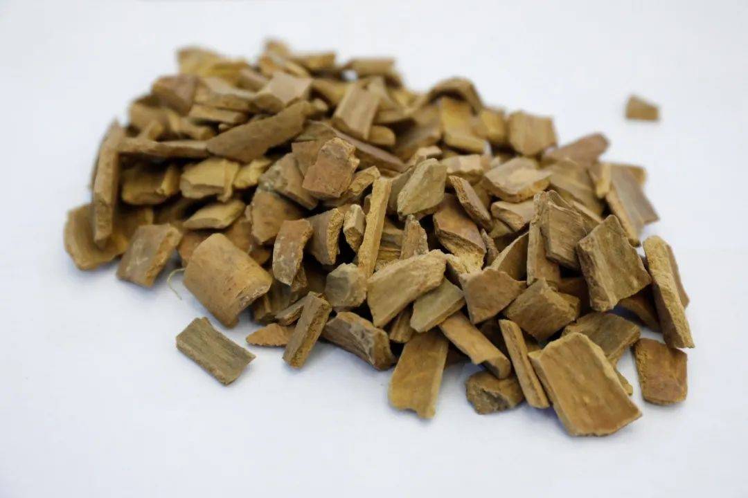 根皮2. 中药秦皮选自基原植物的