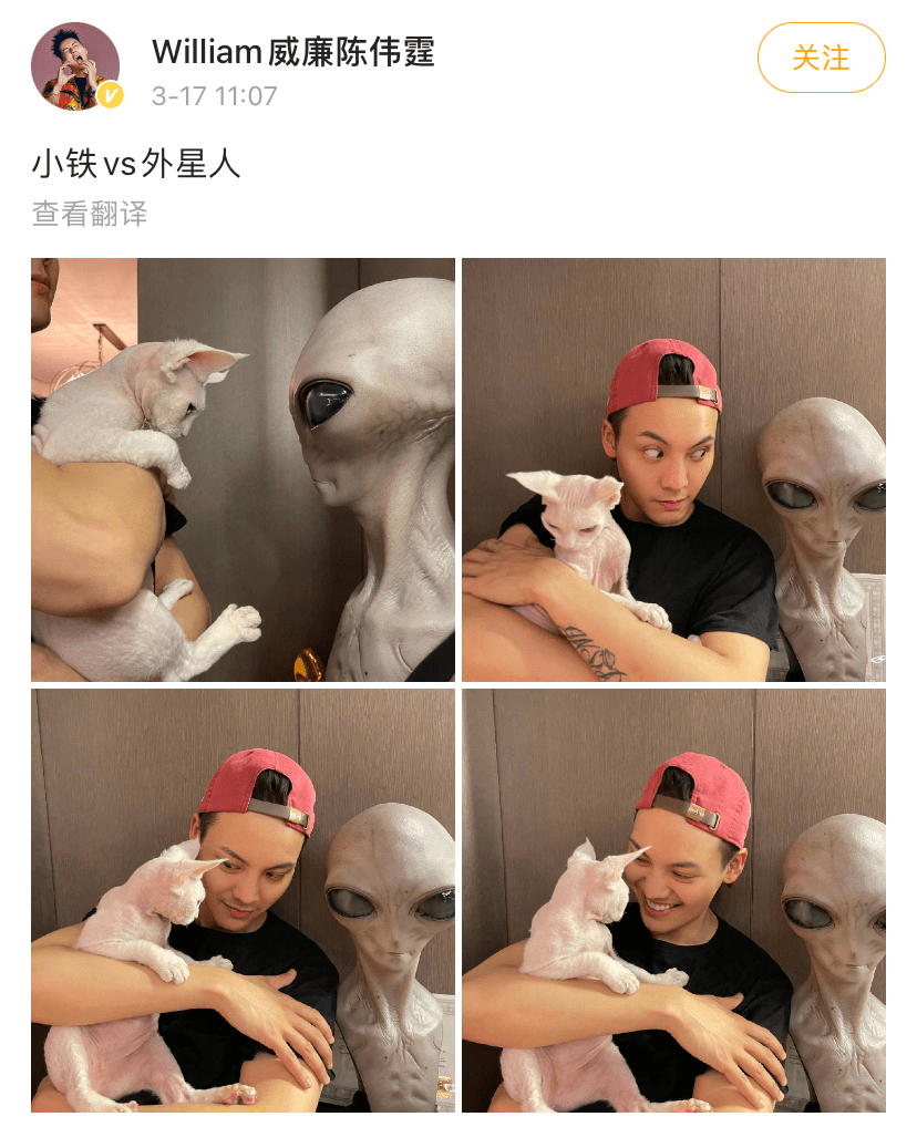 陈伟霆亲身演绎就算是大明星猫主子也照样嫌弃你