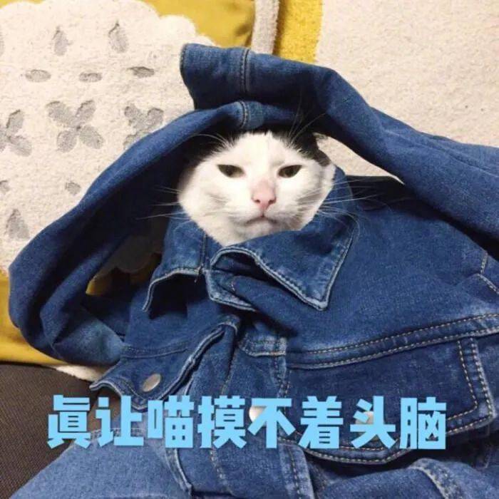 肯定还有些人在打脑壳但出游目的地到底该锁定哪里高速免费肯定大家都