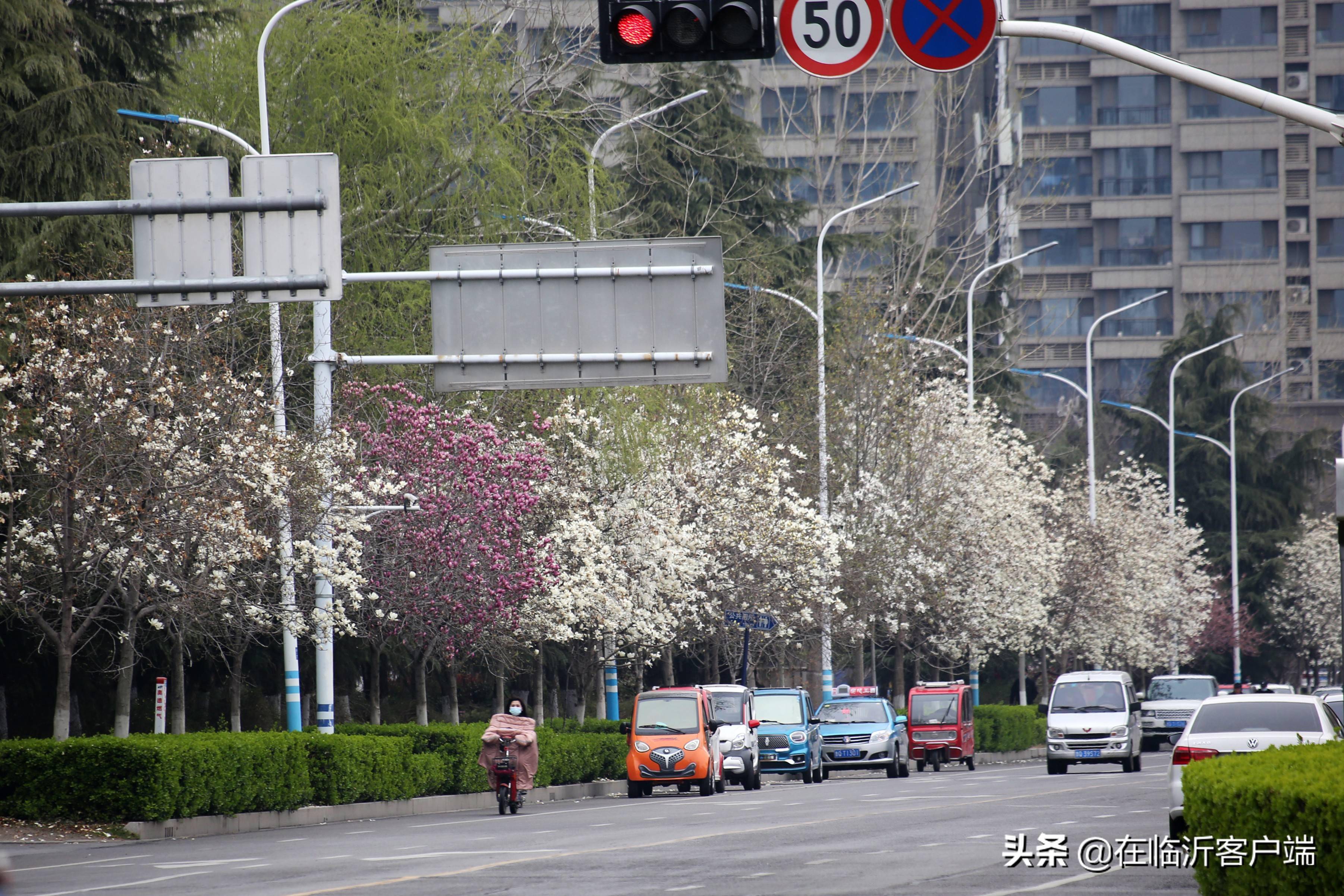 28日,恰逢天气晴好,记者来到兰山区柳青街道汶河路.