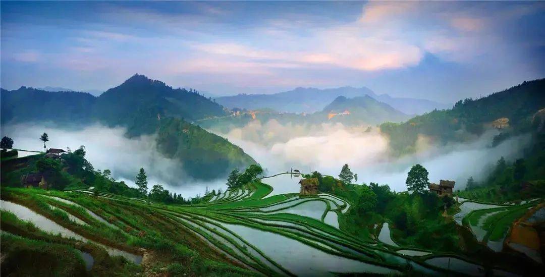 春游好时节醉美贵州康养黔西南邀你共赴山地花海之约