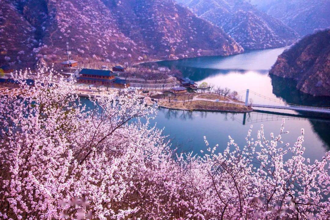 玩转怀柔来怀柔赏花跟图走