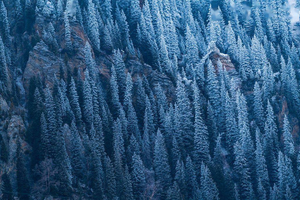 秋有温泉冬有雪 边陲明珠尼勒克