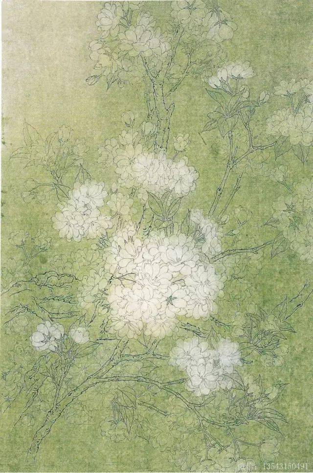 周中耀工笔樱花画法解析到位