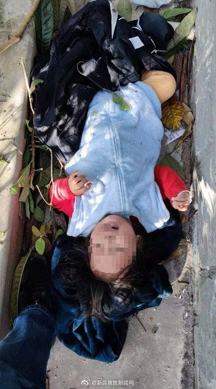 上海2岁女童坠楼居民接力救助