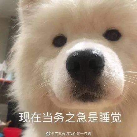 变化|微信更新！多个新变化，网友：终于等到了