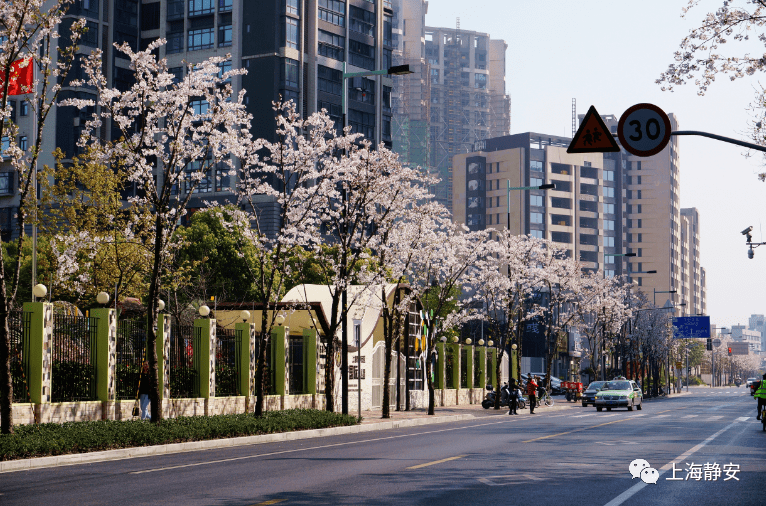 永和東路(廣延路-平型關路)位於靜安區大寧路街道大寧國際社區,道路