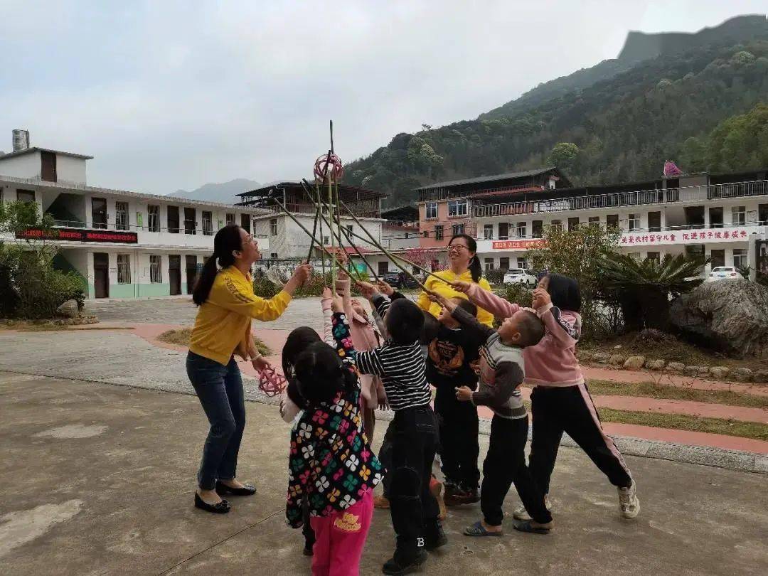 高山族刺球图片