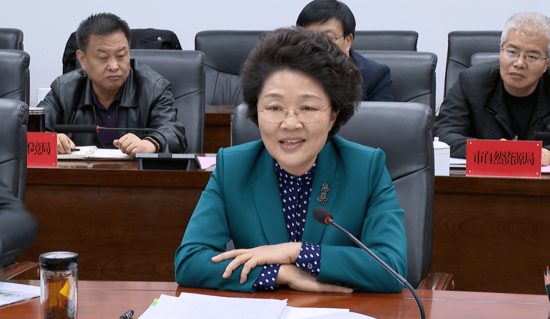 市委常委,常务副市长白振海介绍了我市新能源产业发展情况.