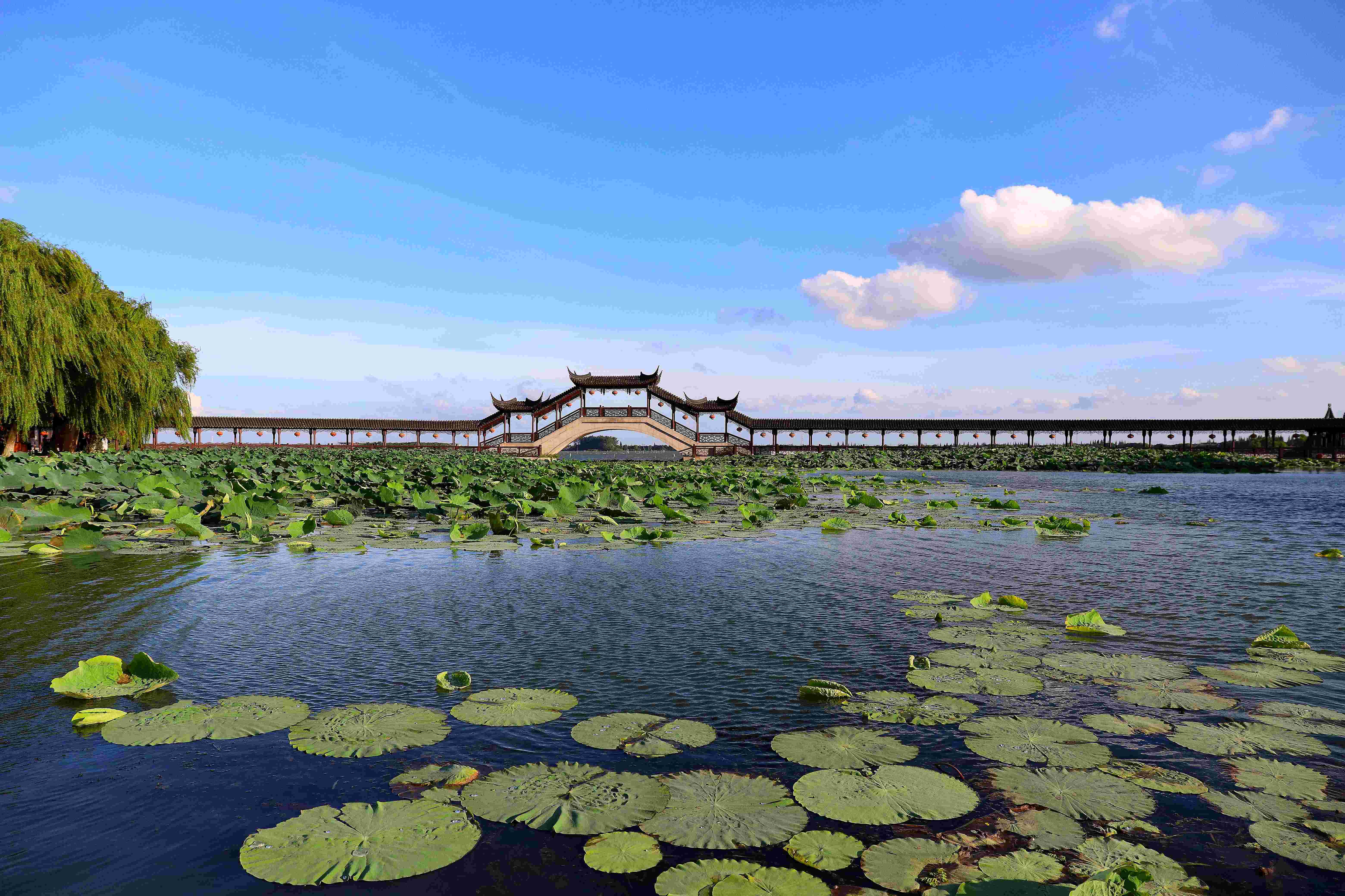 昆山旅游度假区：牵手淀山湖，走进大虹桥，共建世界级湖区
