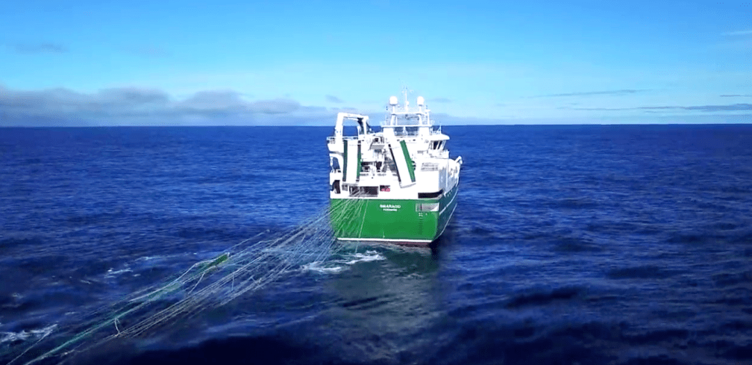 吸鱼泵拖网渔船船艉上网吸鱼操作