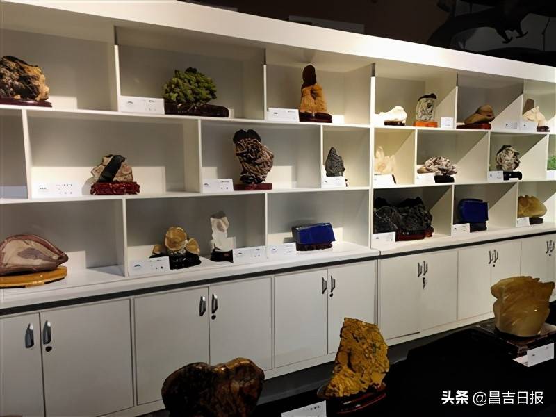 还有颜色各异的玛瑙石……这些展品品相精美,造型奇特,珍奇罕见,每一