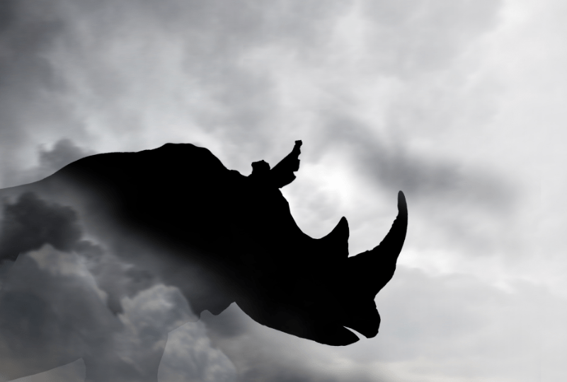 股价下跌两成 慧择保险首亏1800万如何平衡