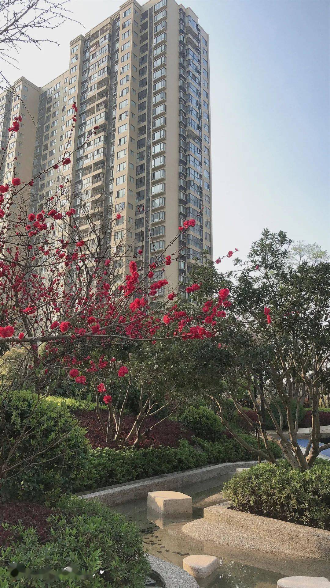 文章配图-58