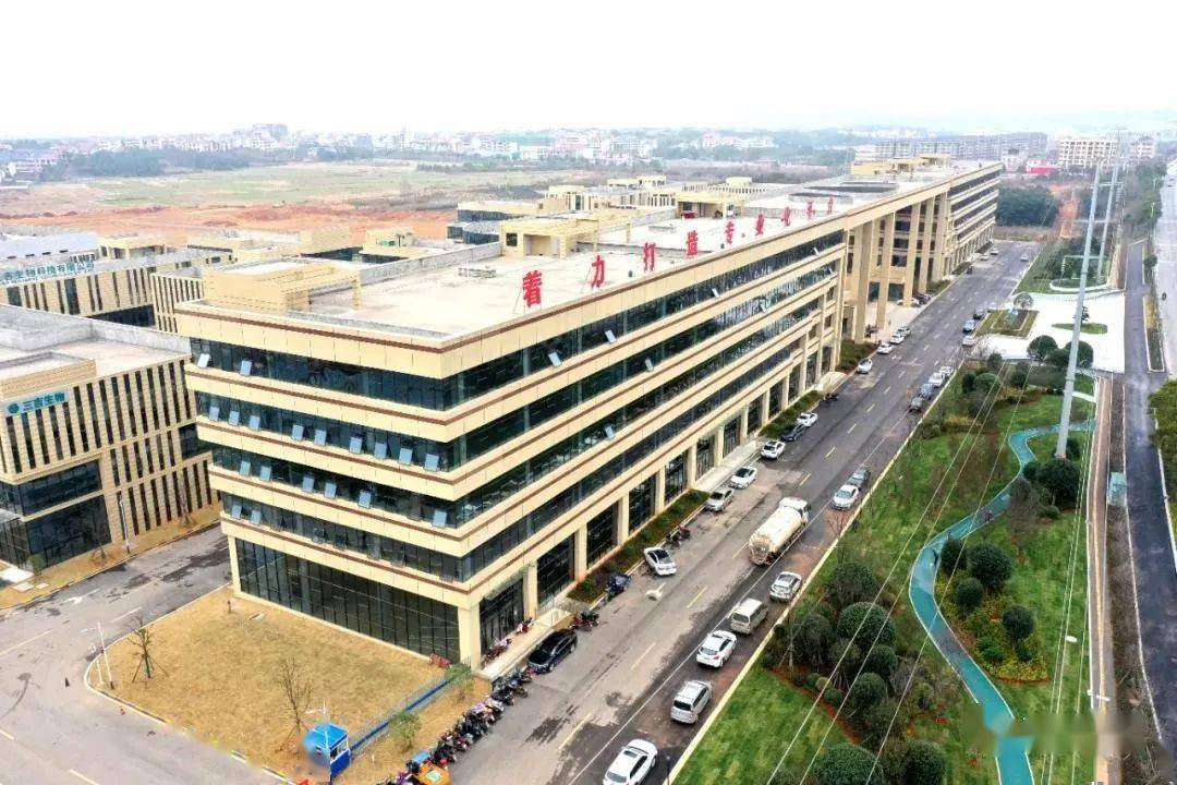 党报头版推介东乡区这项工作有何特色