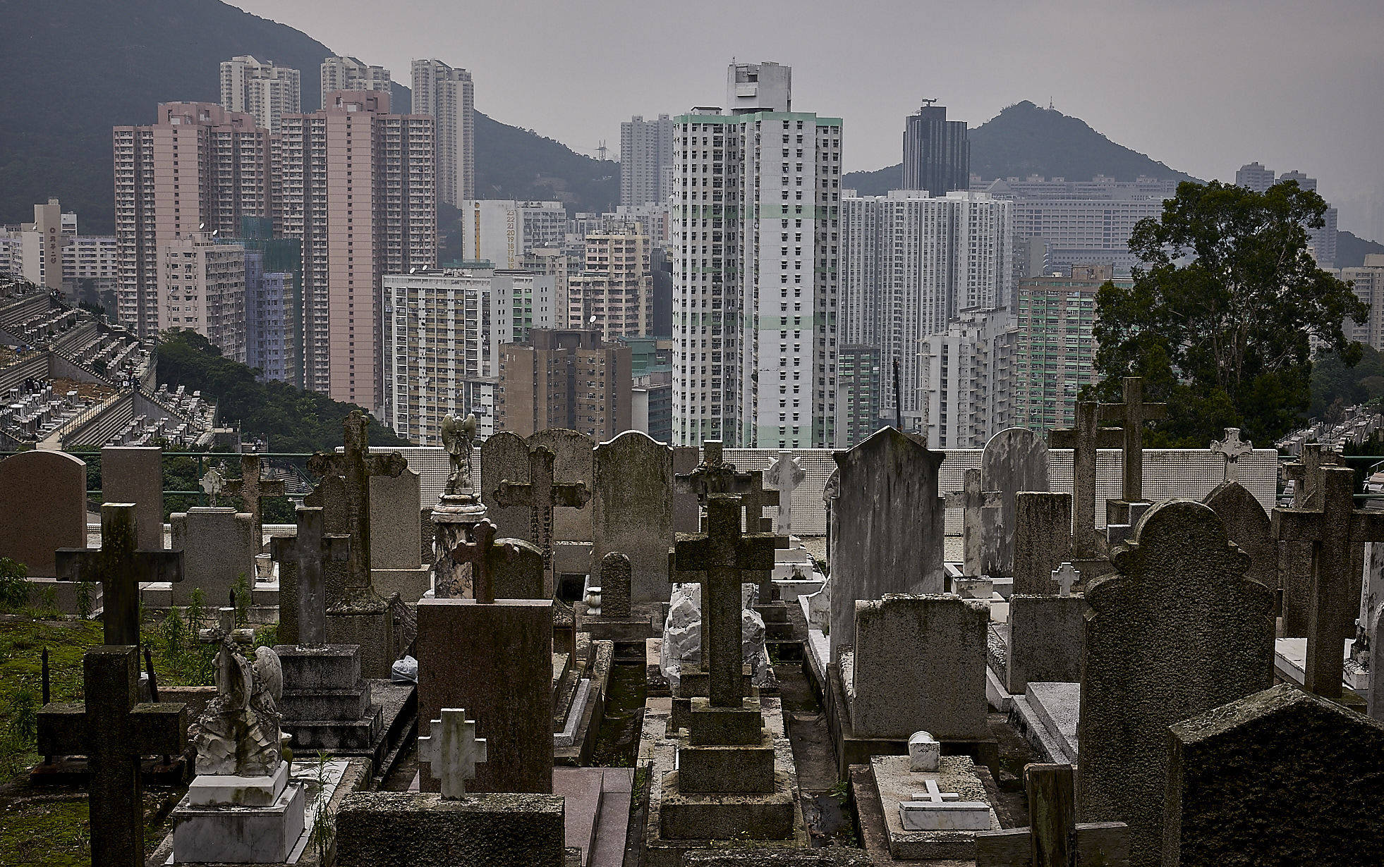 香港公墓图片图片
