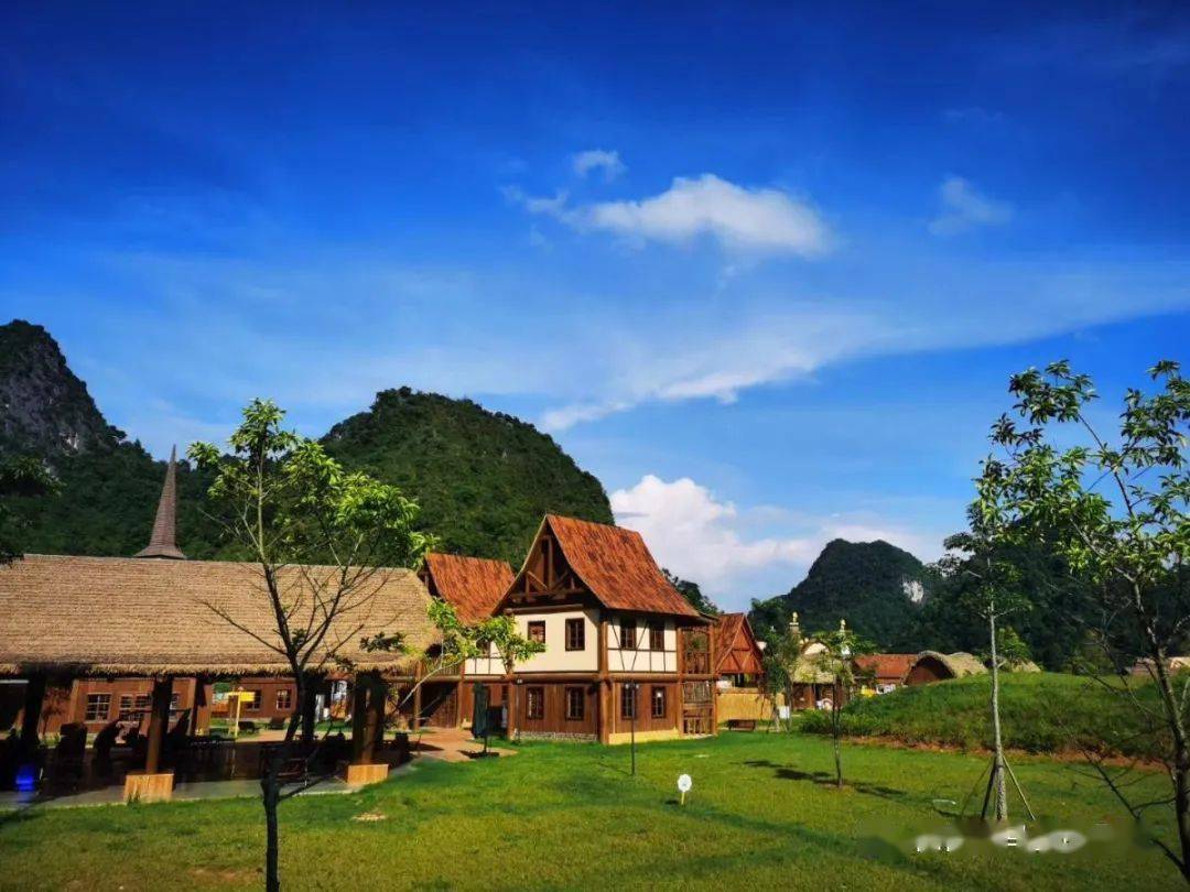 清明踏青正当时莫负人间四月天一起去德保矮马王国景区踏青吧