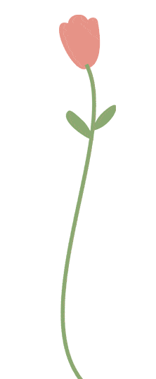 滨湖给你的春日限定美好都在这里!_景区