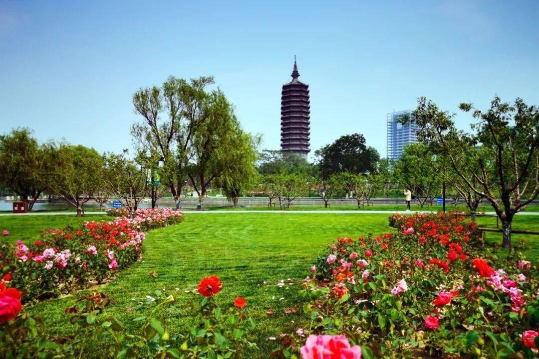 不负春光通州区义务植树活动拉开序幕