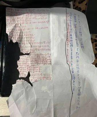 调皮汪撕碎写了2个多小时的作业!哥哥崩溃躲厕所哭_宝妹