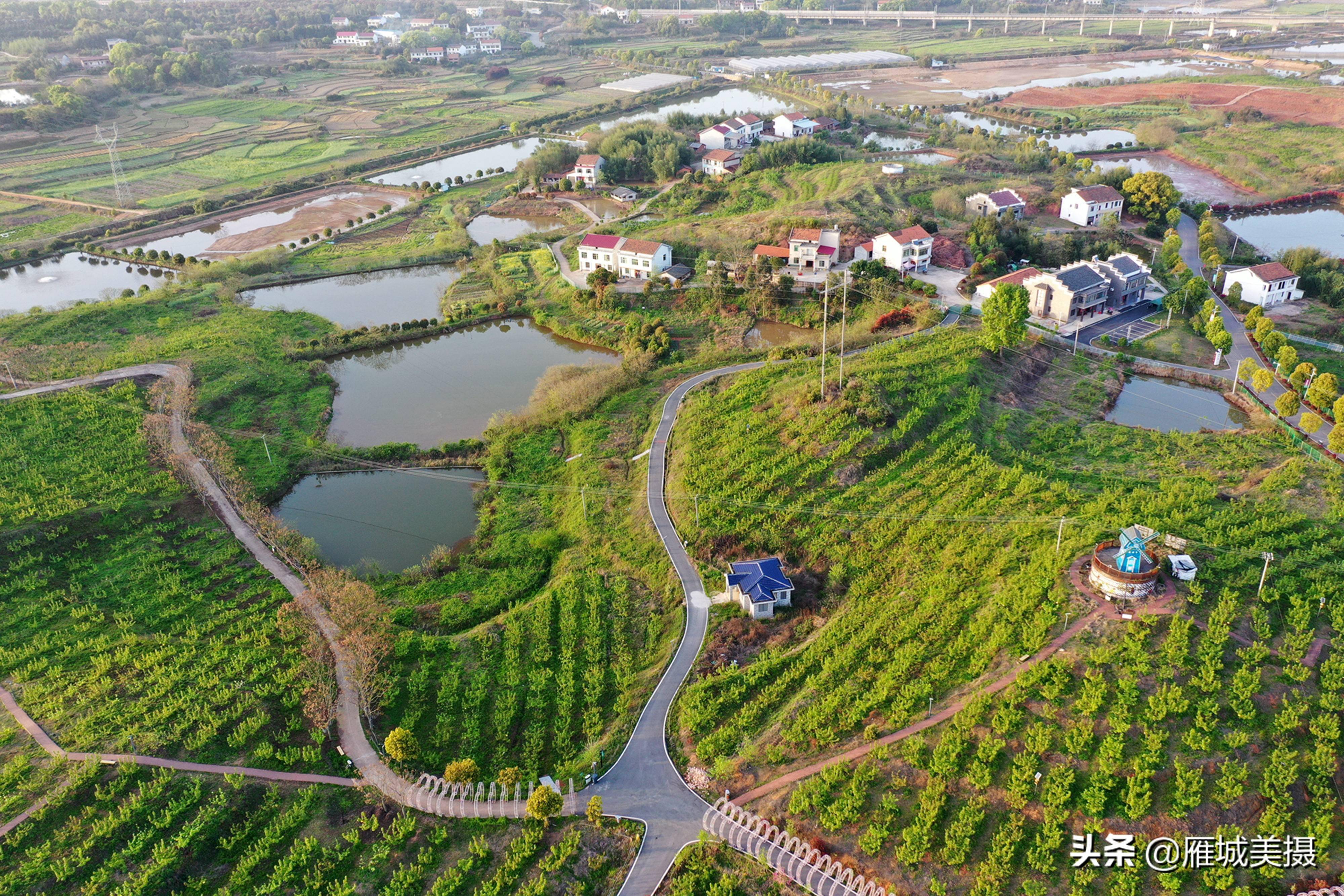 航拍衡阳美丽乡村-珠晖区堰头村,春光如画,近郊休闲旅游好地方_产业