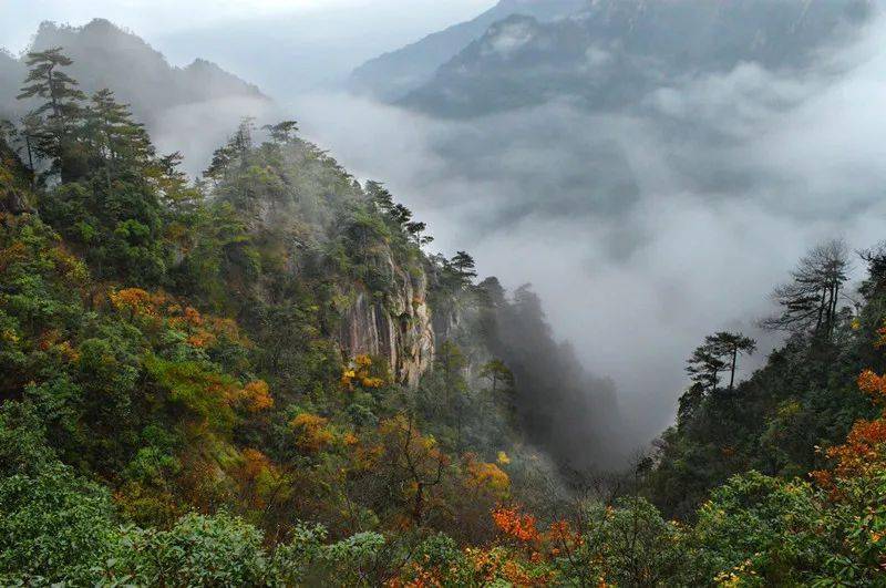 现在怎么没有小黄山烟 fe16a1312f3746c68fb59b864ed18234.jpeg