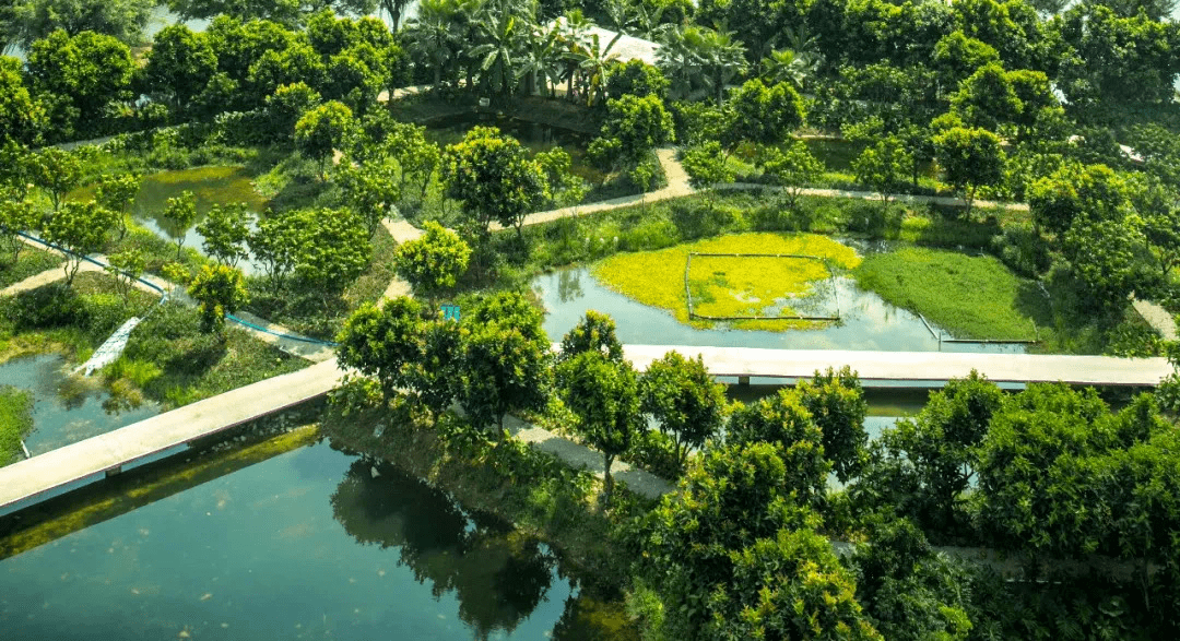 三亞開展國家及省級森林城市創建工作_公園