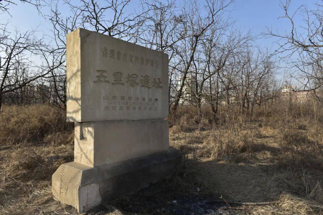 "德州文史"专栏 丨第51期 德州的龙山文化符号_遗址