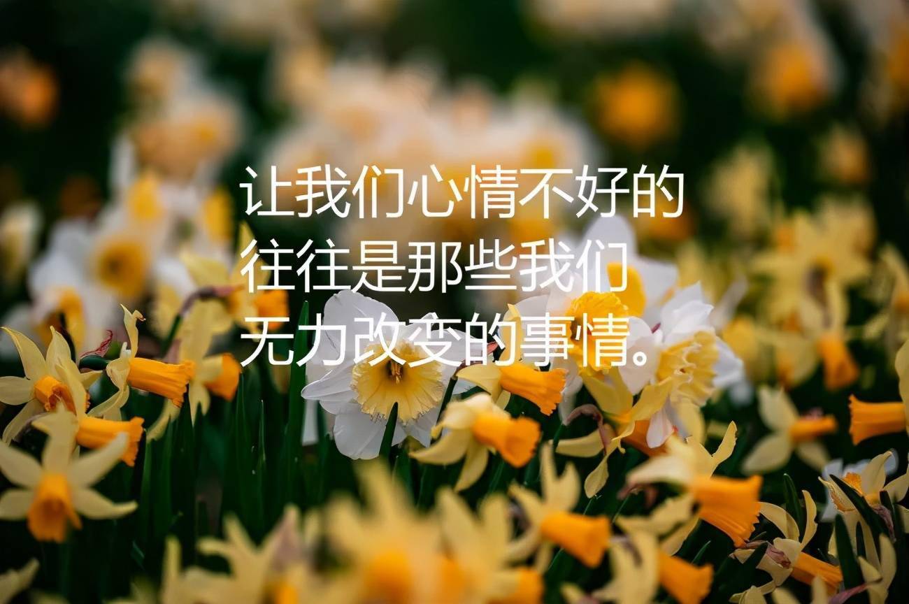 别太把别人当回事也别太把自己不当回事早安