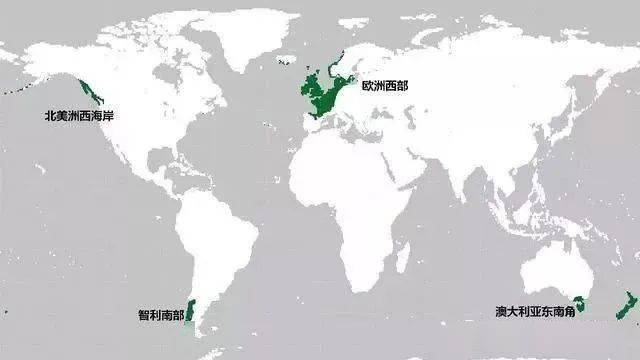 地理探究 不说不知道 世界上居然还真有热带海洋性气候 而且只存在这几个地方 马达加斯加