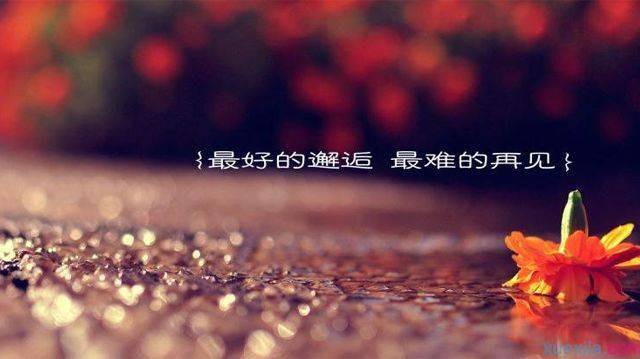 42eccc02d26444f180de612bd7da1f19.jpeg
