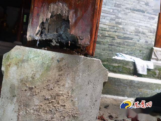高淳区白蚁防治所:多措并举,解民生烦心事,保古建筑生机