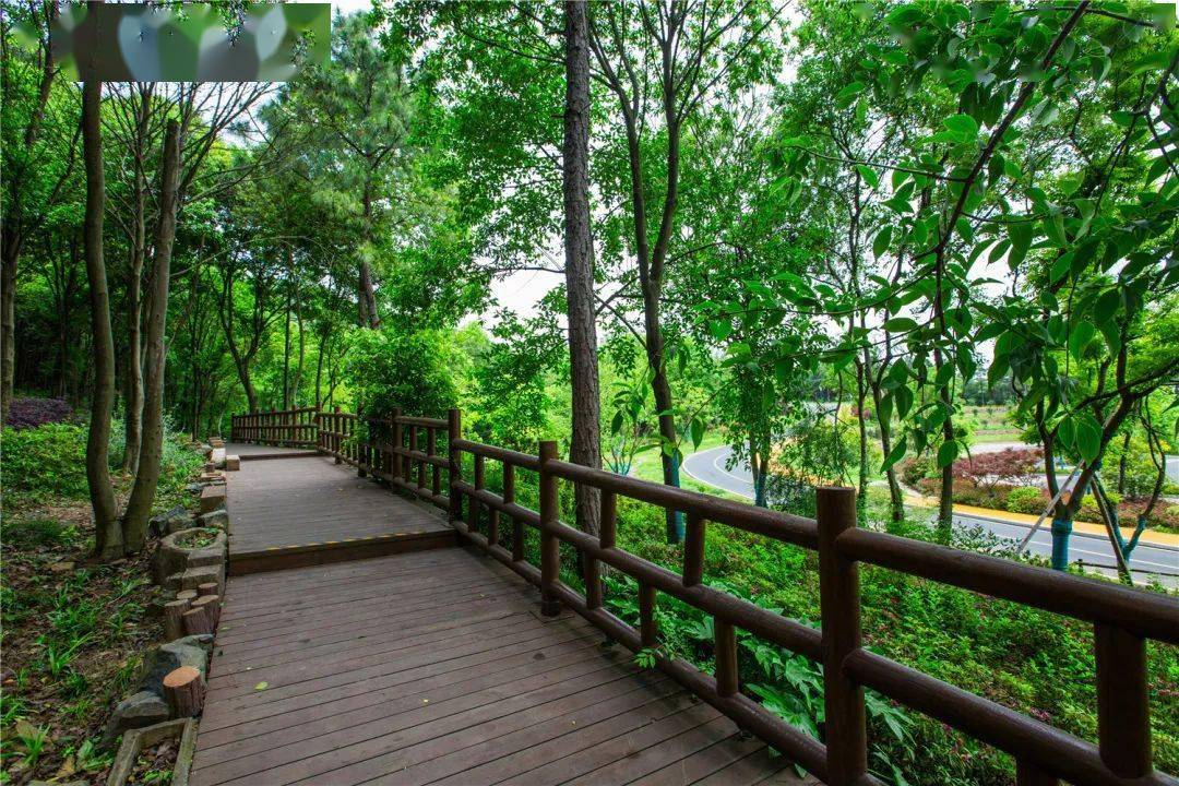 常州醉美的这条自驾线,沿途皆是美景_马塘
