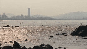 70f3644e681f4fe0ae9bed4259377fcb.gif