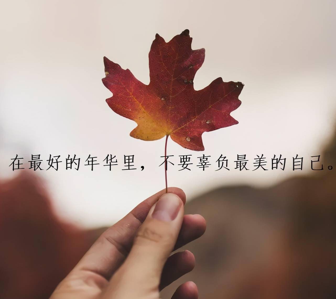 好好努力你才可能變成自己所想的那種人早安