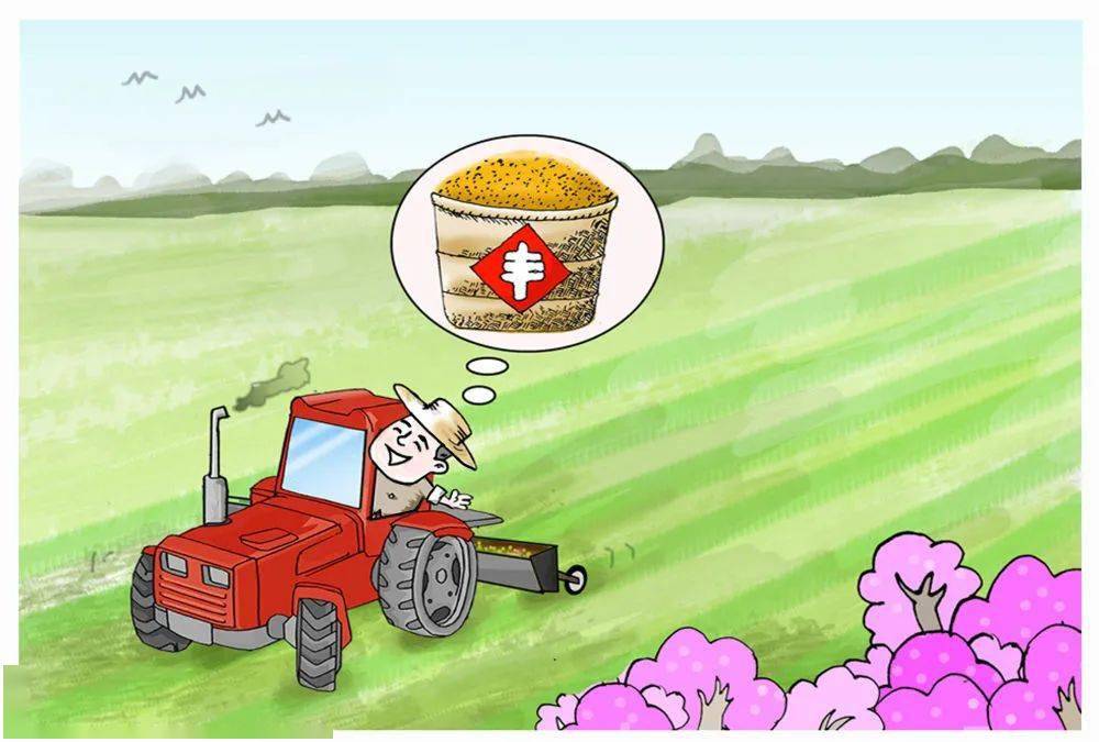 惠农政策护春耕 农资涨价藏隐忧