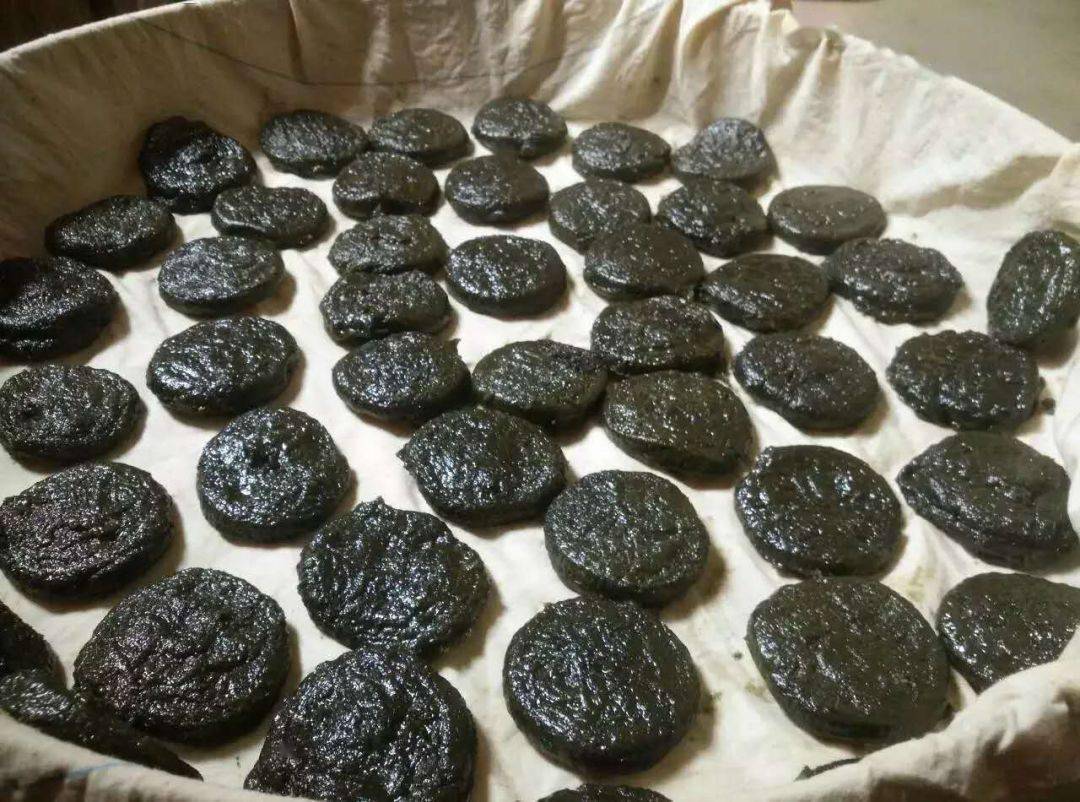 郭永乐摄每逢农历三月三,做鸡屎藤饼是恩平人过节必备节目之一.