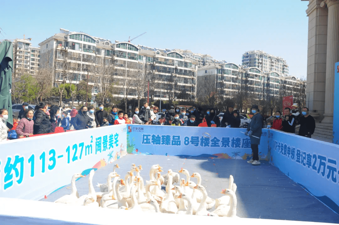 part 2开心套大鹅,套中鹅归你站好位置,找好角度,手起圈落大鹅等你带