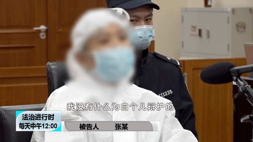 北京大案纪实诈骗110000000元的南城房姐覆灭记