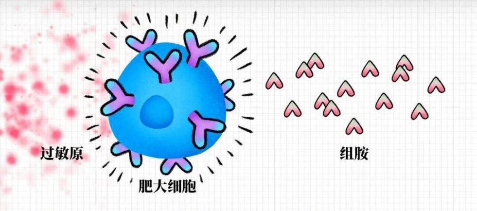 来自搜狐网